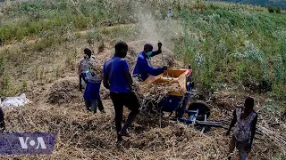African-led Organization Aims to Sustainably Boost Agriculture Production