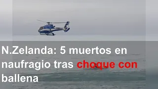 N.Zelanda: 5 muertos en naufragio tras choque con ballena