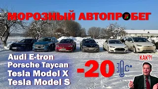 В мороз  -20* едем на электромобилях в Версаль