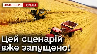 🤔🔥 Кремль вимагає компромісу щодо зернової угоди! Але є нюанс!