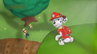 Paw Patrol Season 1 Best Video