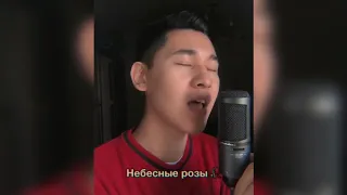 Jony - Небесные розы 🥀 ( djampeysov cover )