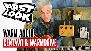 Better Than the Klon & Zendrive?! Warm Audio Centavo & Warmdrive Demos | First Look