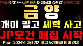 [금양] 9/21 (목) JP 모건 매집 시작! 개미 팔고 세력 사고!