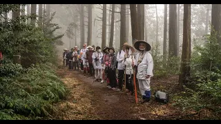 World Religions 8: Korean and Japanese Religions