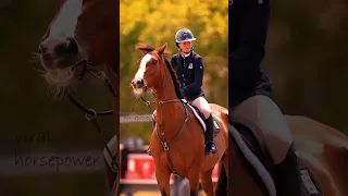 Look at that BRIDLE😍 #youtube #horse #edit #equestrian #shortvideos #shorts #subscribe #viralvideos