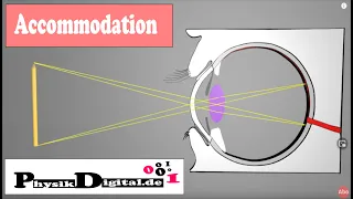 How does the eye focus on objects at varying distances? - explained simply and clearly