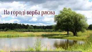 На городі верба рясна. Автентичний спів Донеччини, село Богоявленка Марїнського району.