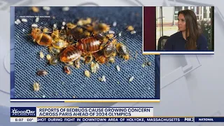 Paris bedbug infestation causes growing concerns ahead 2024 Olympics