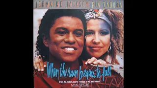 Jermaine Jackson & Pia Zadora  When The Rain Begins To Fall 1984 Vinyl Maxi Single Label Arista Euro