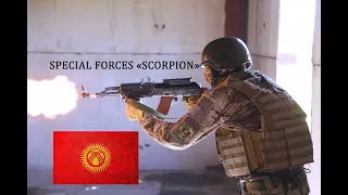 Огневая тренировка спецназа Скорпион