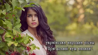 Українська народна пісня:"При долині кущ калини".