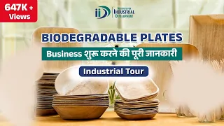 कम पूंजी में शुरू करे बायोडिग्रेडेबल प्लेट् का व्यवसाय | Biodegradable Plates Manufacturing Business