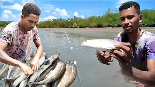 IMPRESSIONANTE: CARDUME DE PEIXE ATACA NOSSA REDE NOVAMENTE / FIZEMOS UM ASSADO NA BEIRA DO MAR