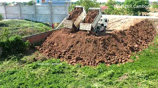 Incredible Project Filling Land By Skills D20P Dozer Pushing Dirt And 5Ton Dump Truck Unloading Dirt