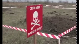 Пиротехники Донецкой области выявили около 250 боеприпасов