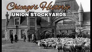 Historic Chicago Union Stock Yards