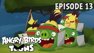 Angry Birds Toons | Chuckmania - S2 Ep13