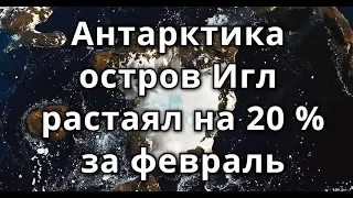 Тепловая волна в Антарктиде уничтожила 20% льда и снега на острове Игл