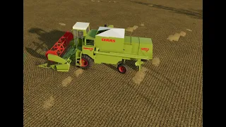 Buying A New Claas Harvester & Harvesting Oats [No Man's Land Ep 12