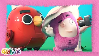 Vogelfotografie | Oddbods Deutsch | Cartoon For Kids