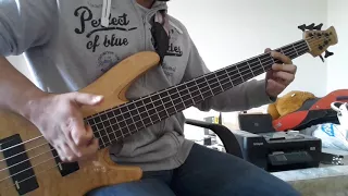 Pantera - This love (Bass Cover)