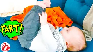 Top Funniest Baby Make A Super Fart #3! Funny Pets Moments #babyfarts