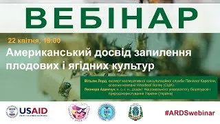 Американський досвід запилення плодових і ягідних культур