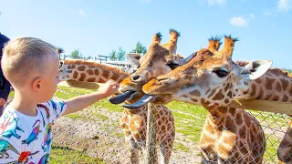 Gaby and Alex feeding animals at the Safari Zoo