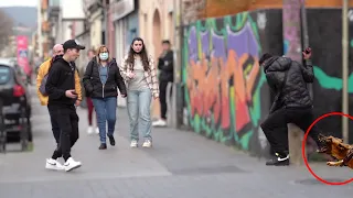 UN PERRO RABIOSO ASUSTA A TODA LA CIUDAD 😱