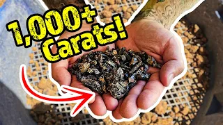 1,000+ Carats of Crystal's Found Fossicking in Australia!