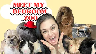 MEET MY BEDROOM ZOO (all 9 of them)