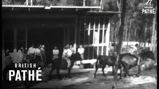 Australia's Most Remarkable School (1947)