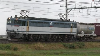 (HD) JR貨物 EF65(PF)形 直流用電気機関車が牽引する高速貨物列車