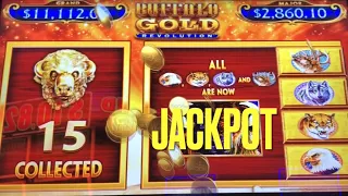 Buffalo Gold Revolution 15 Head Massive Jackpot!!!