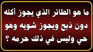 اسئلة دينية صعبة جدا واجوبتها | من هي المرأة التي لا ترث زوجها مع أنها لم تطلق⁉️