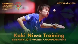 Koki Niwa Training | Liebherr 2019 World Table Tennis Championships