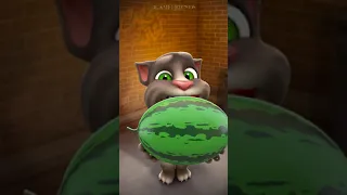 My Talking Tom 2 New Video best funny Android iOS Play Tom 2020 #62