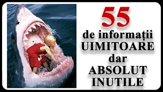 55 de informații UIMITOARE dar ABSOLUT INUTILE