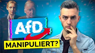 Die AfD beeinflusste mich (und ich bereue es)