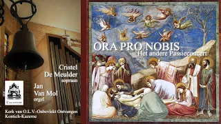 Ora Pro Nobis - Het andere passieconcert