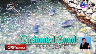 Kanal sa Kiamba sa Sarangani, pinamamahayan ng naglalakihang isda! | Dapat Alam Mo!