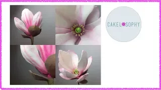 How to Make  Gumpaste Magnolia Flower (Easy with a right Tutorial! )