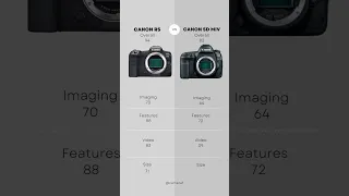 Canon EOS R5 vs Canon EOS 5D MarkIV Comparison #canon #camera #comparison #fullframe  #video #photo