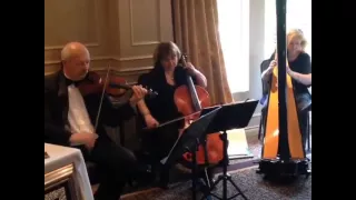 Musical Occasions Wedding Harp, Violin and Cello Trio - A Thousand Years by Christina Perri