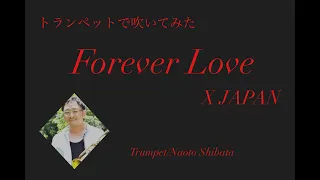 Forever Love/X JAPAN【トランペット】歌謡曲ムードトランペッター・柴田直人