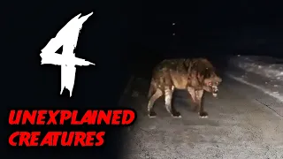 4 TRUE Scary stories of Creepy Encounters in 2021 (La Llorona, Horse Woman, Cursed Road, Skinwalker)