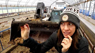 BLESS THIS MESS. (a winter barn cleanout💩) VLOGMAS 2020: Vlog 378