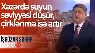 Xəzərdə balıqlar üçün təhlükə: Suyun səviyyəsi düşür, çirklənmə isə artır – İşgüzar səhər