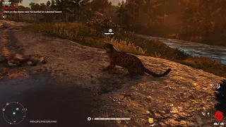 Far Cry 6 Chicharron vs Jaguar